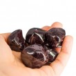 garnet, garnet crystal, garnet pocket crystal, passion crystal, energy crystal, love crystal, strength crystal