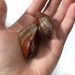 rainbow jasper, crystal shop, jasper, energy crystal