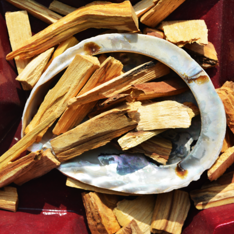 palo santo energijsko čiščenje prostorov palo santo cena sveti les