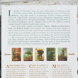 Orakeljske karte Mystical Shaman, Alberto Villoldo, Colette Baron-Reid, Marcela Lobos, tarot karte, mistični šaman