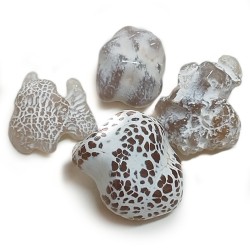 ahat, ahat snake skin crystal, affordable crystal, crystal shop, energy, positive crystal