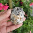 dendritic opal jumbo, jumbo crystal, affordable crystals, crystal shop