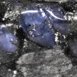 blue liberite, que sera,