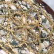 tree agate, orgonite, orgonite plate