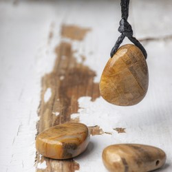 petrified wood, petrified wood crystal, crystal necklace, meditation crystal, energy jewellery