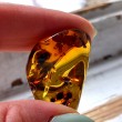 AMBER pocket stone XL