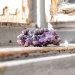 grape ahat, ahat, grape ahat rastišče, grape ahat cluster, grape ahat cena, vijoličen ahat