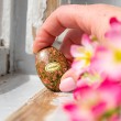 unakite, unakite crystal, palmstone crystal, pocket crystal