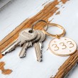 ANGELSKO ŠTEVILO 333 obesek za ključe