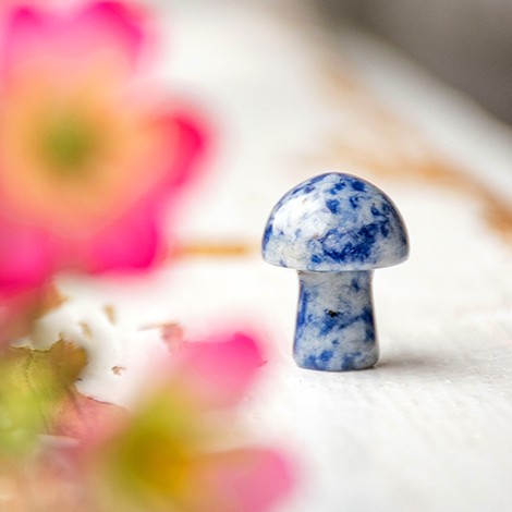 sodalit mini goba, mini goba iz sodalita, gobe iz kristalov, crystal carvings