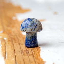 LAPIS LAZULI mushroom, lapis lazuli, gemstones, crystals, semi-precious stones