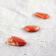 RED JASPER necklace pendant, RED JASPER crystal, red jasper gemstone