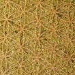peridot orgonit, orgonit, orgonit podstavek, ročno izdelan orgonit, orgonit z peridotom