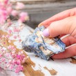 KYANITE BLUE raw crystal, kyanite gemstone,