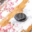 črni turmalin, palmstone, turmalin, črni turmalin palmstone, žepni kristal