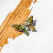 Pāua Shell brooch, Pāua Shell, brooch, brooch with shell, abalone