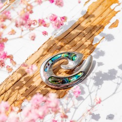 Pāua Shell brooch, Pāua Shell, brooch, brooch with shell, abalone
