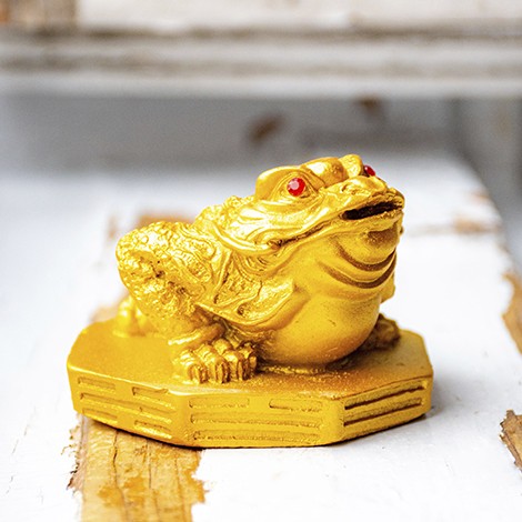 feng shui, money frog, money toad, feng shui money frog, symbol for wealth