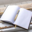 ASTROLOGICAL JOURNAL with an OBSIDIAN pen