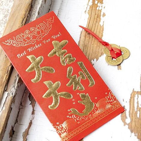 FENG SHUI coin set of 3 for luck, chinese new year