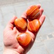 Karneol, karneol kristal, karneol kamen, karneol srček, karneol srce, karneol za žep, karneol dekoracija