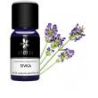 essential oil lavender