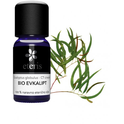 essential oil eucalyptus